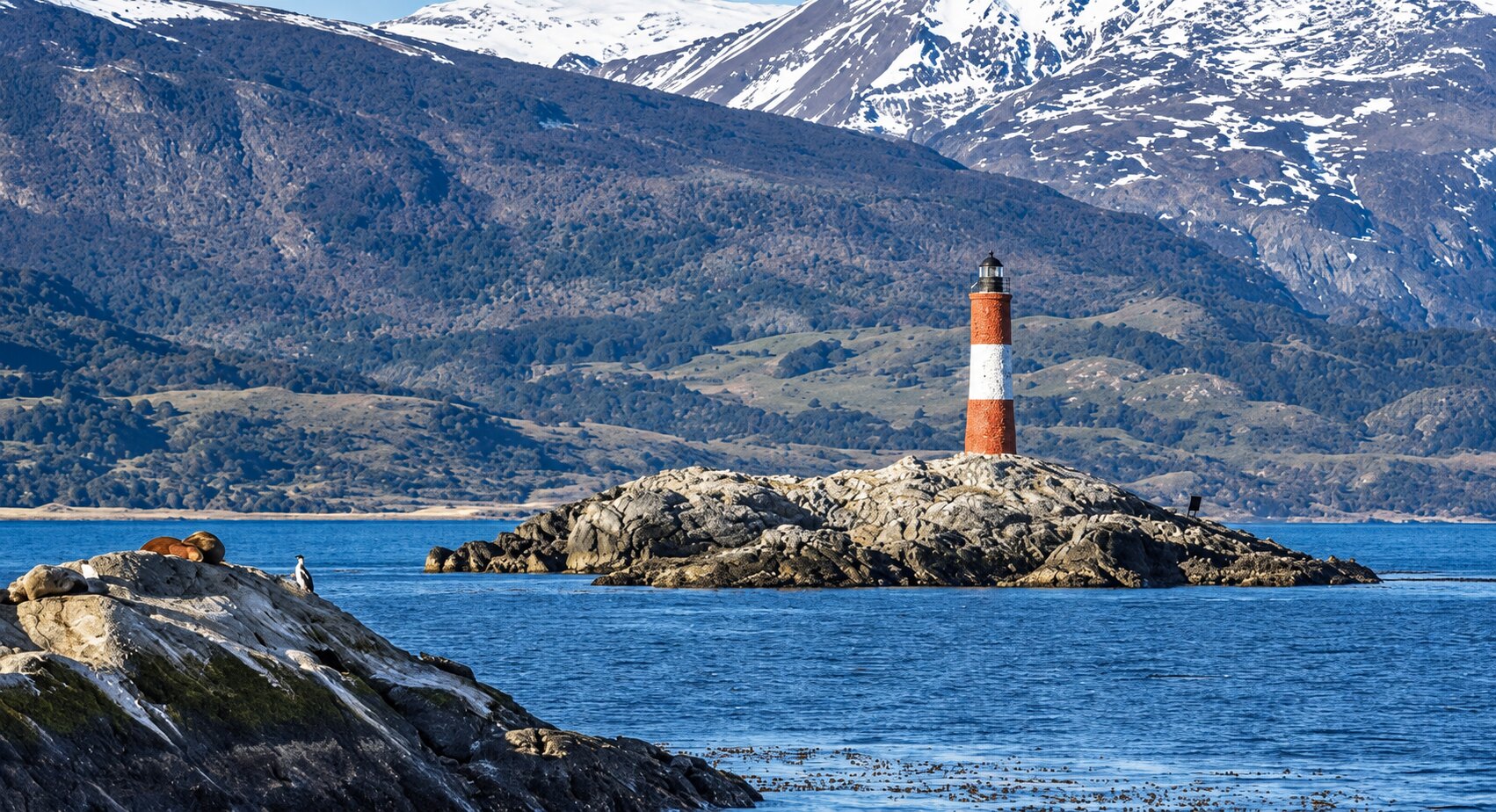 Navegação pelo Canal Beagle: Lobos-Marinhos